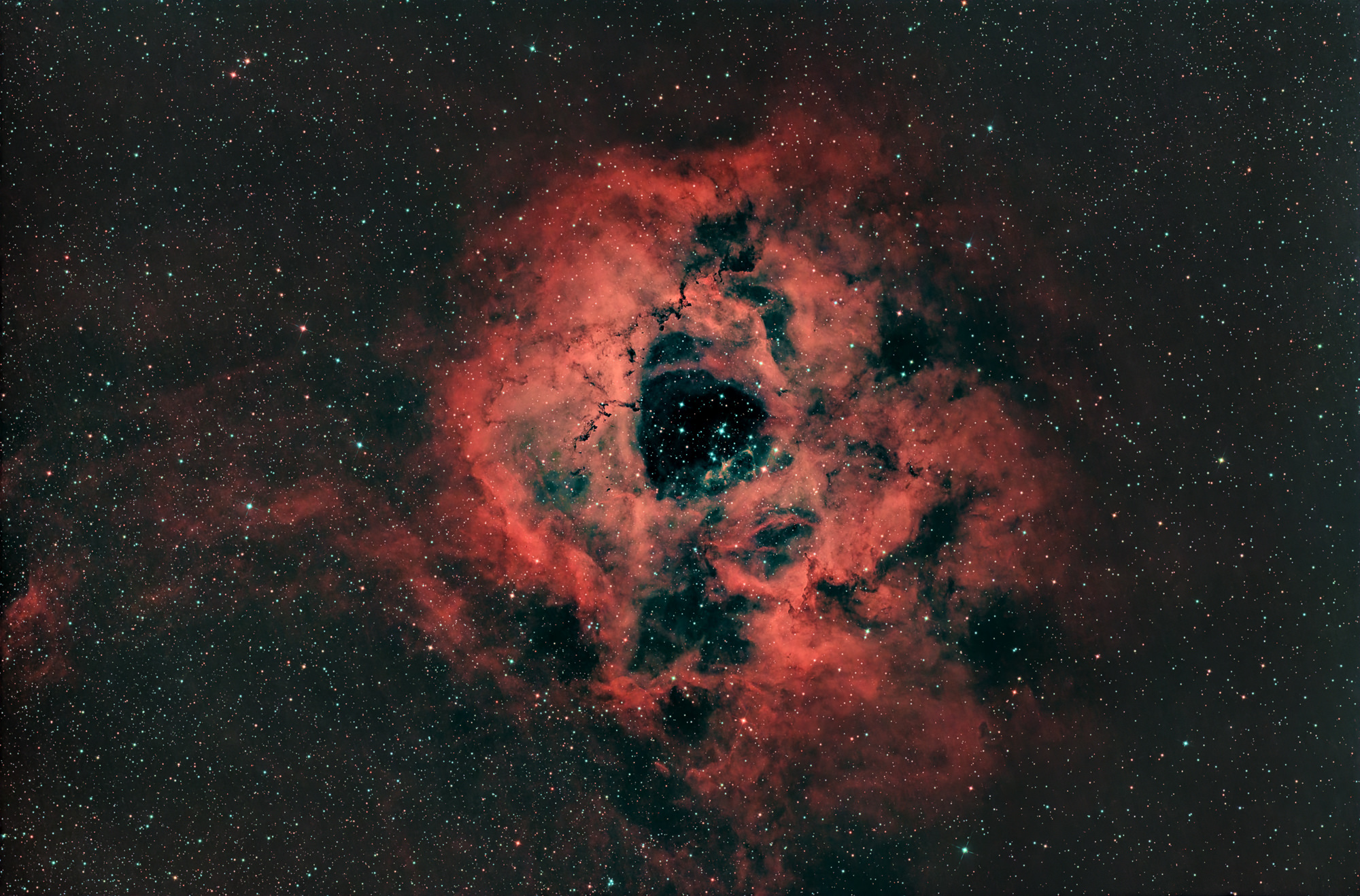 The Rosette Nebula (Caldwell 49) is an H-II region located at the edge of a giant molecular cloud in the Monoceros region of the Milky Way. The stars of the open star cluster NGC 2244 in the center were formed from the material of the nebula.